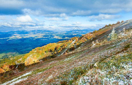 10月喀尔巴阡山博哈瓦高原第一次冬季雪和秋多彩的草莓灌木山腰高清图片素材