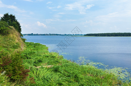 在对岸与小林的夏季匆湖风景背景图片