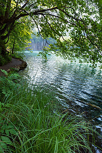 在普利维茨湖公园克罗地亚通过树枝的小瀑布和清洁湖泊高清图片