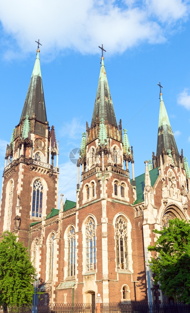 利沃夫市圣奥尔哈和伊丽莎白教堂乌克兰图片