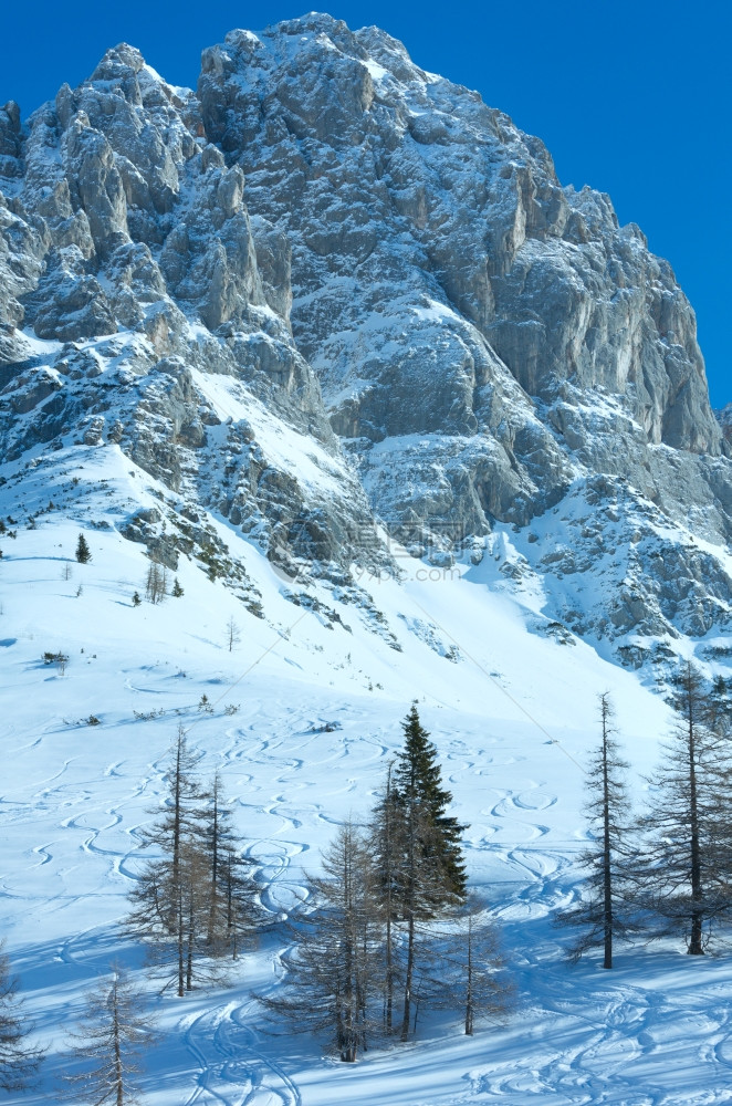 Dachstein山群奥地利的冬季Hazyveiw有滑雪脚印图片