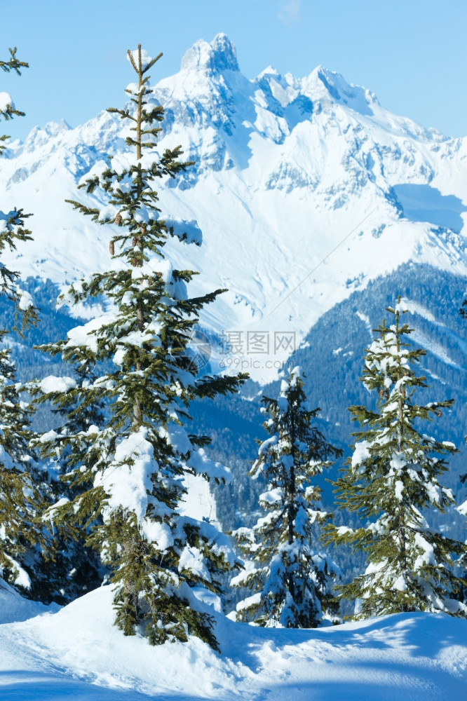 冬季山林风雪景观帕佩格诺巴恩山顶奥地利费尔兹穆斯图片