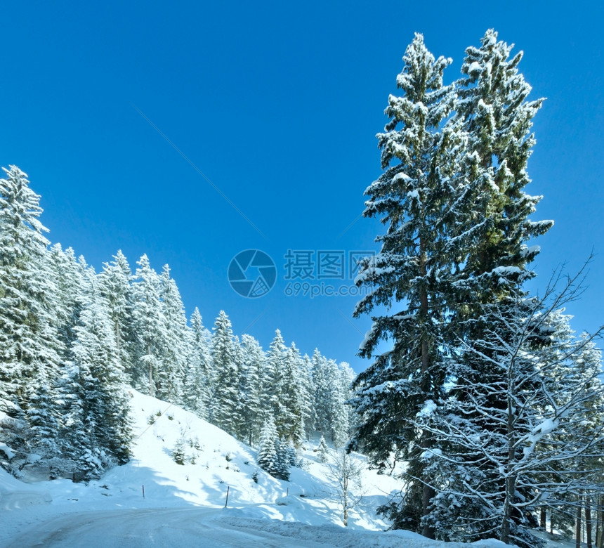 冬季山地风景与森林和高山公路图片