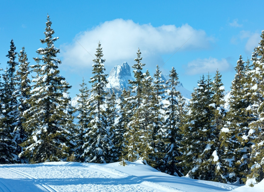 冬季奥地利风雪景观图片