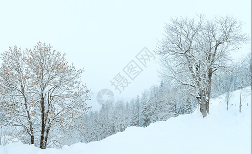 冬季山雾雪瀑布日落图片