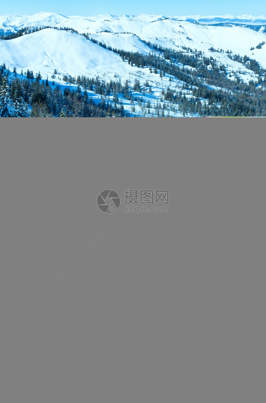 冬季山地景观斜坡上有雪树奥地利霍奇科尼希区图片