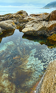 贝格拉姆石块中间带藻类挪威拉姆贝格洛福顿背景