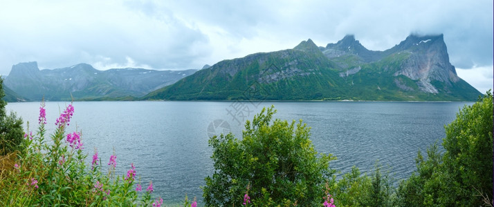 Fjord夏季风云多前面有花挪威全景图片