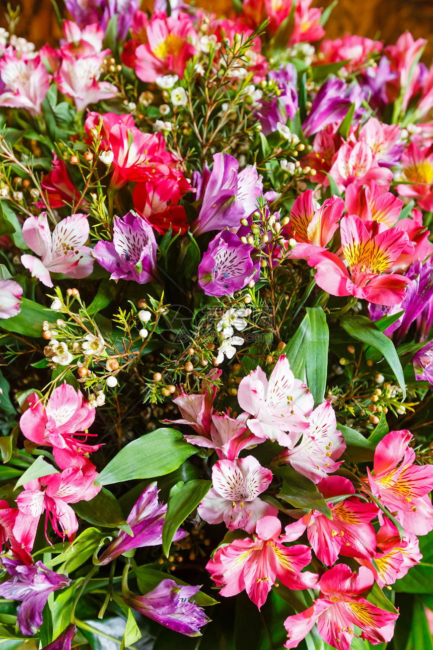 夏季花朵束自然背景图片