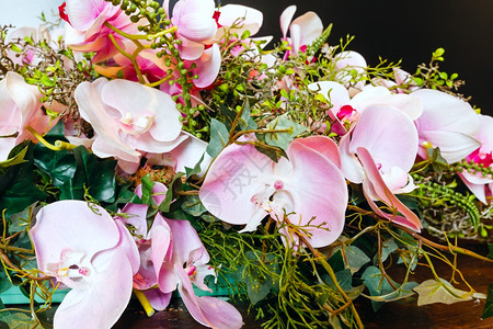 美妙的浪漫光粉红兰花束背景图片