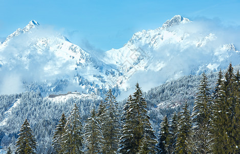 冬季山区风景有fir树海光郊区奥地利蒂罗尔背景