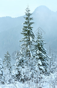 山脚边的雪树阴暗云雾日图片
