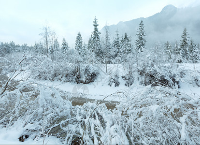 冬天的薄雾与小山流和雪树图片