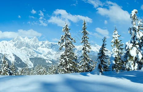 冰雪覆盖的冬季冷杉林和达克斯坦山丘从奥地利帕帕热诺费尔兹穆斯山顶观看图片
