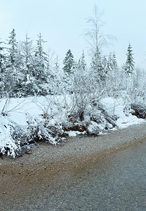 小的冬季溪流和河岸上的雪树云雾般天气图片