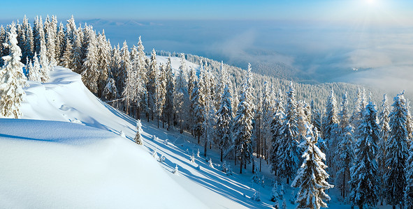 冬季和雪覆盖山顶有fir树和雪流喀尔巴阡山乌克兰寒冷的高清图片素材