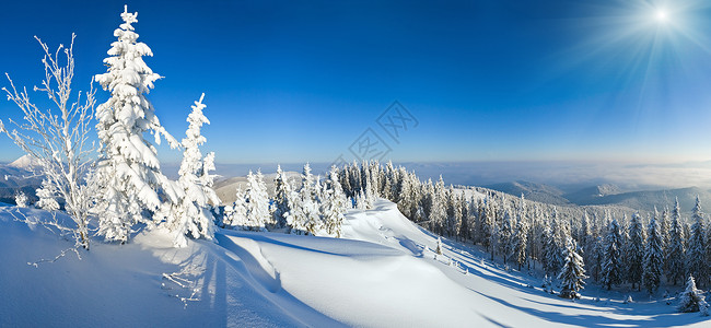 冬季平静的山雪阳光风景喀尔巴阡山乌克兰天空高清图片素材