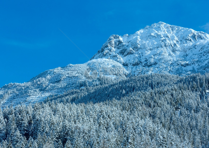 山坡上有雪的森林冬季山地景观奥利蒂罗尔图片