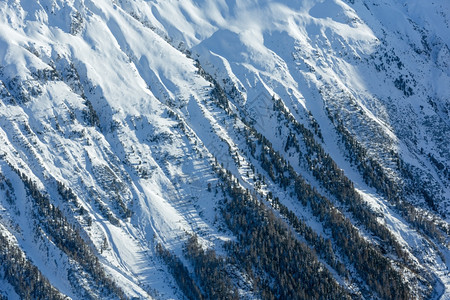 在有森林的雪坡上奥地利提洛尔从木屋滑雪升起的降机上进行风采奥地利提洛尔背景图片