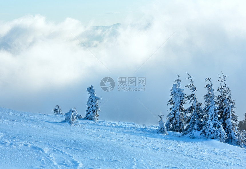 寒冬清晨山上的冰雪毛树在多云的天气下图片