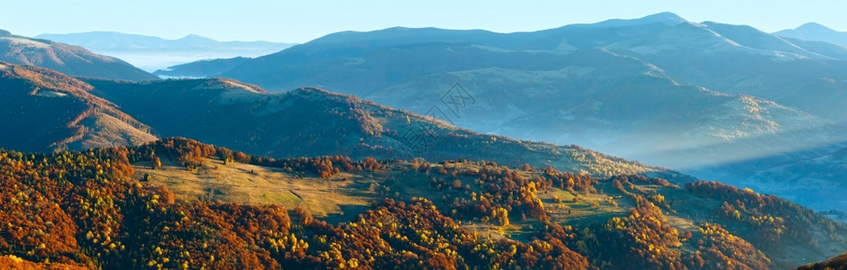 太阳光束和秋雾清晨的山峰全景坡上有多彩的树图片