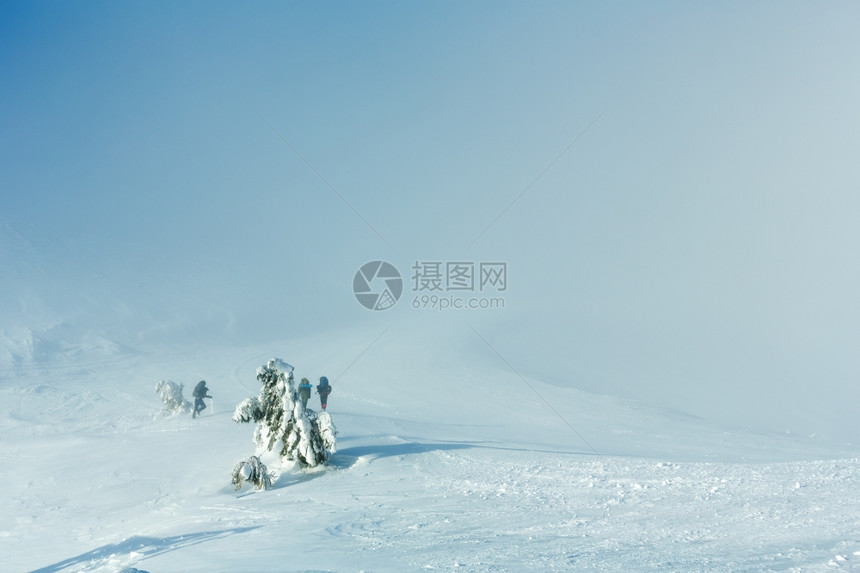 冬季山雾般的景色有雪fir树和山坡上的三名游客未经承认图片