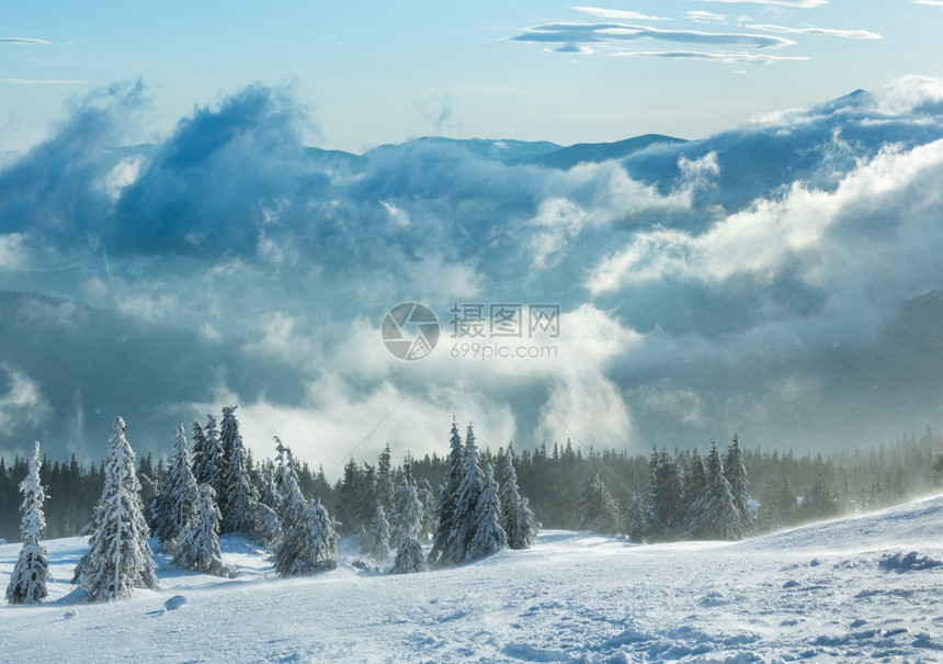 寒冬晨山上的冰雪壁树在多云的天气下喀尔巴阡山图片