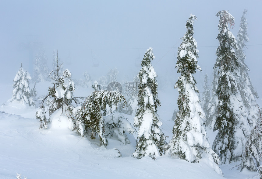 寒冬山上的冰雪树在多云的雾天气下图片
