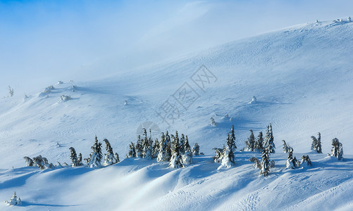 寒冬清晨山上的白雪树在多云的天气下高清图片