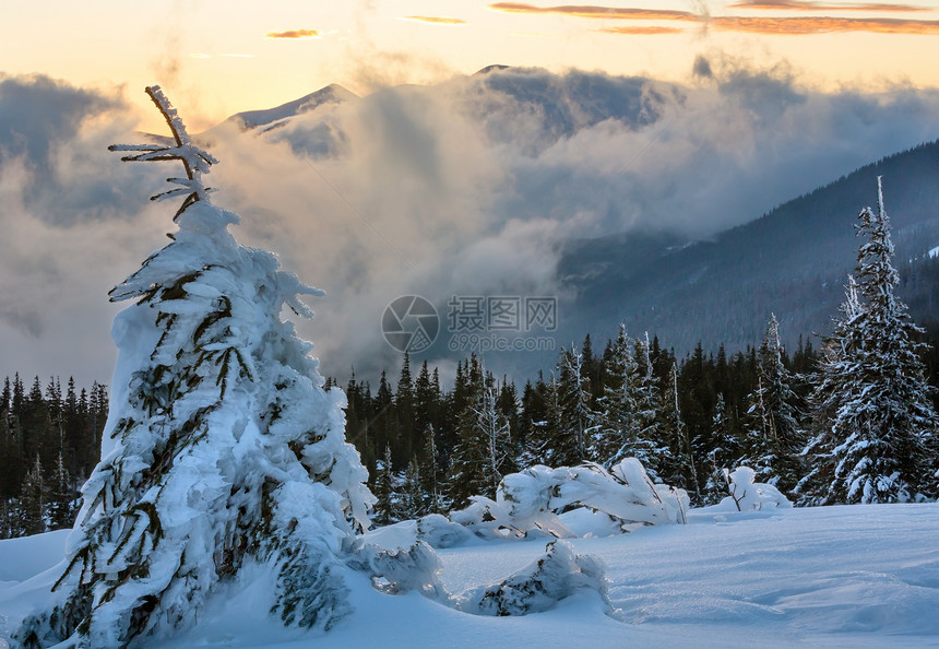 日出冬季山区风景坡上有云和木林喀尔巴阡山图片