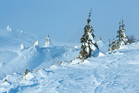 寒冬清晨山上的白雪树在多云的天气下图片