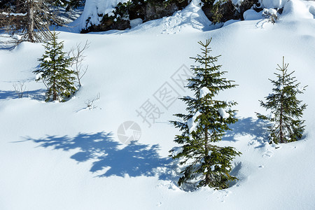 冬季雪山有流和小木头树图片