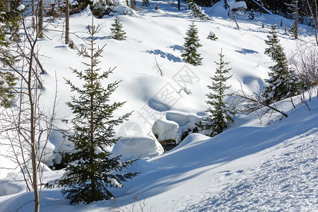 冬雪山丘上长着小毛树溪流在雪地下图片