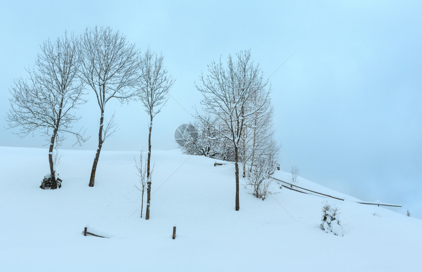冬季喀尔巴阡山雪有树木和阴云的天空图片
