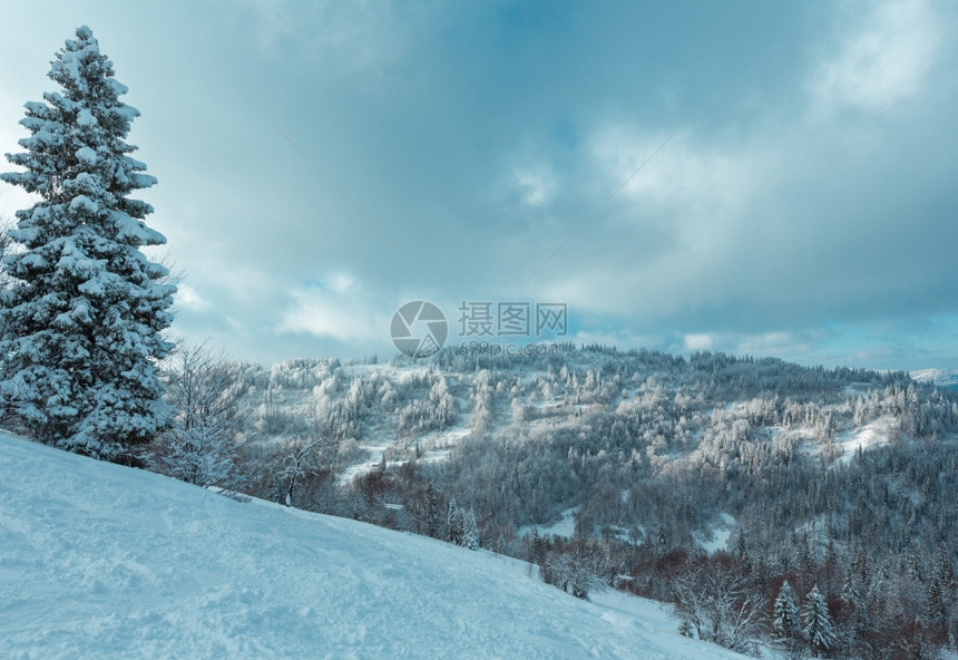 在冬季山坡上用滑雪跑和地表升起的太阳落下第一个阴影SkoleBeskidsLvivOblast喀尔巴阡山脉乌克兰图片