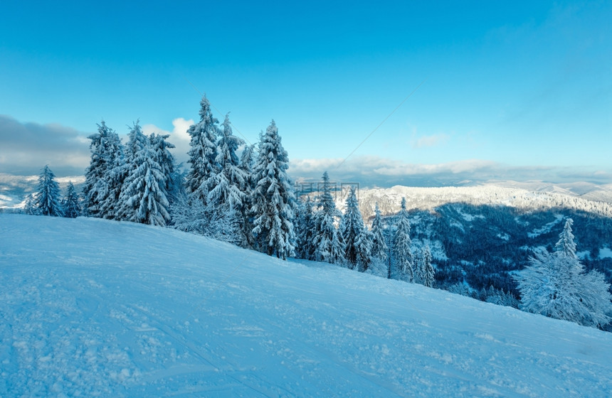 在冬季山坡上用滑雪跑晒太阳的第一个阴影SkoleBeskidsLvivOblast喀尔巴阡山脉乌克兰图片