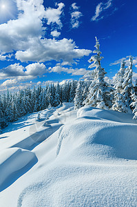 冬季雪上的漂覆盖山边阳光明的山顶上有林寒冷的高清图片素材