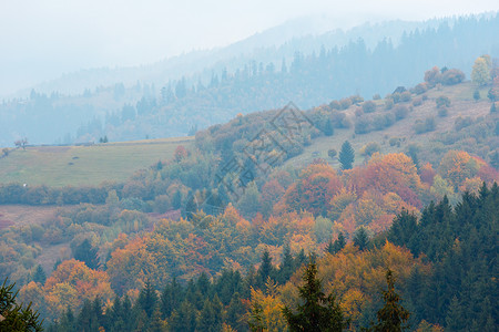 秋天喀尔巴阡山脉沉雾地貌米日里亚扎卡尔帕塔斯州乌克兰图片