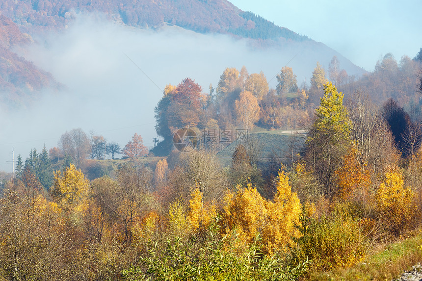 秋天喀尔巴阡山地貌坡上有多色树木和小村庄上面有雾拉希夫区乌克兰Transcarpathia图片