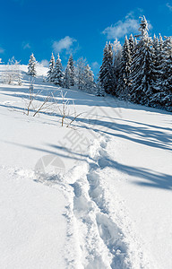 冬季平静的山地景观坡上有美丽的霜冻树木和山坡道穿过上的雪流喀尔巴阡山乌克兰小山高清图片素材