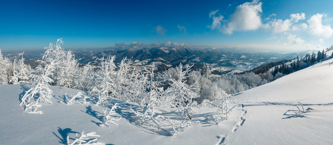 喀尔巴阡山冬季的雪景观背景图片