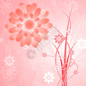 背景粉白花红花图片