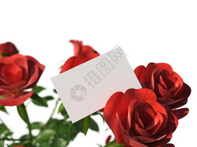代表空间和玫瑰的礼品卡背景图片
