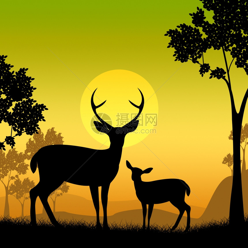 鹿野生动物代表狩猎日光和森林图片