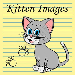 Kitten图像显示家用猫和小小猫高清图片素材