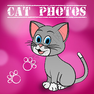 Cat照片代表相机图和快照英里高清图片素材
