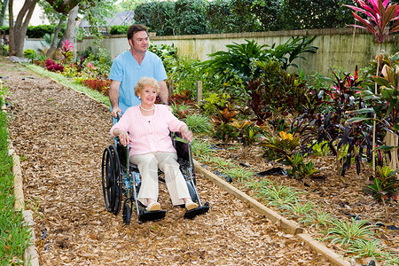 护理家庭秩序将一名残疾的老年妇女推过花园轻松的高清图片素材