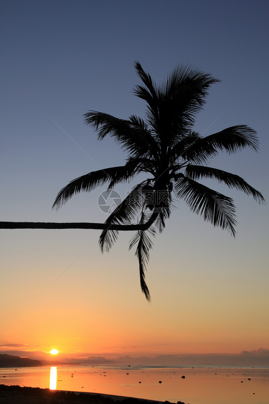斐济海滩棕榈和日落图片