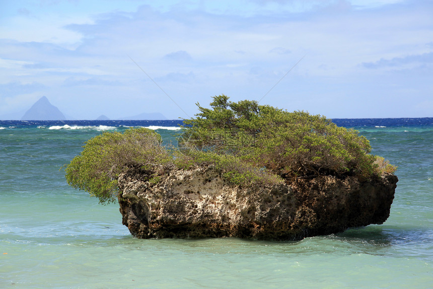 布希在瓦努阿图伊法特岛海滩上的大岩石图片