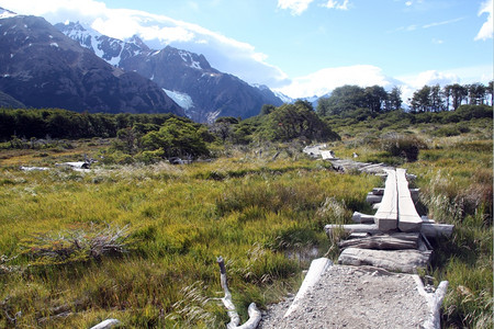 阿根廷ElChalten附近公园的Wooden桥和道路图片